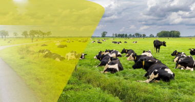 Agro agrarisch nieuws