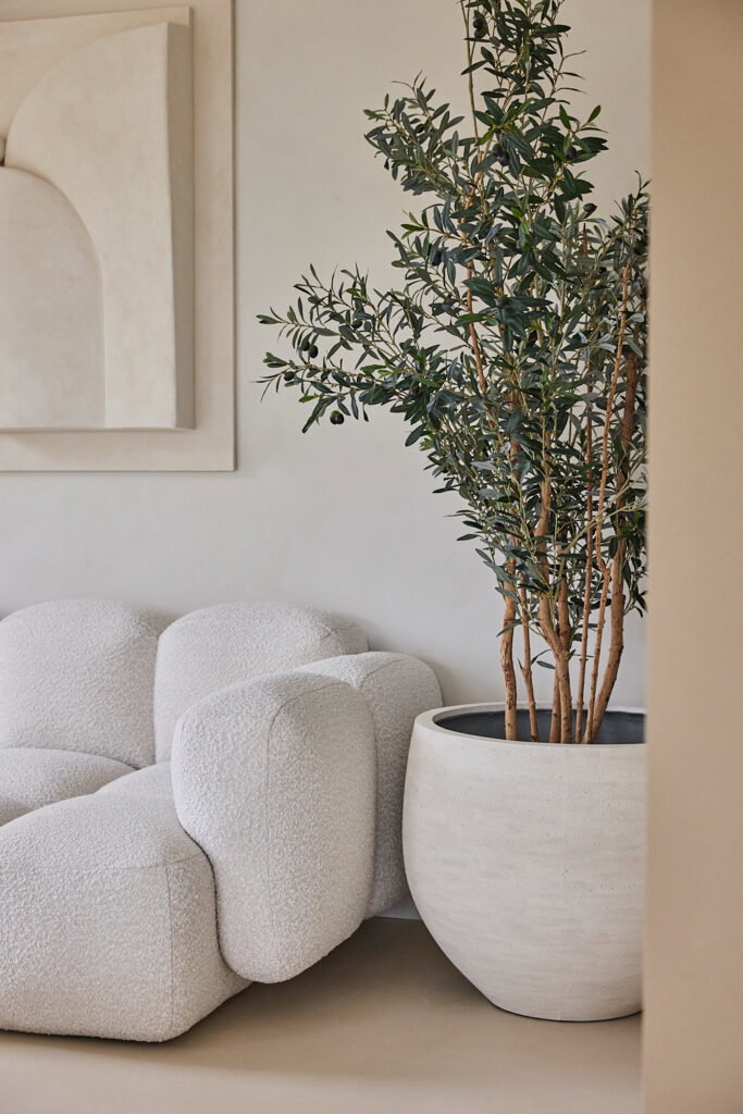 Bibi-Training-Coaching- 3