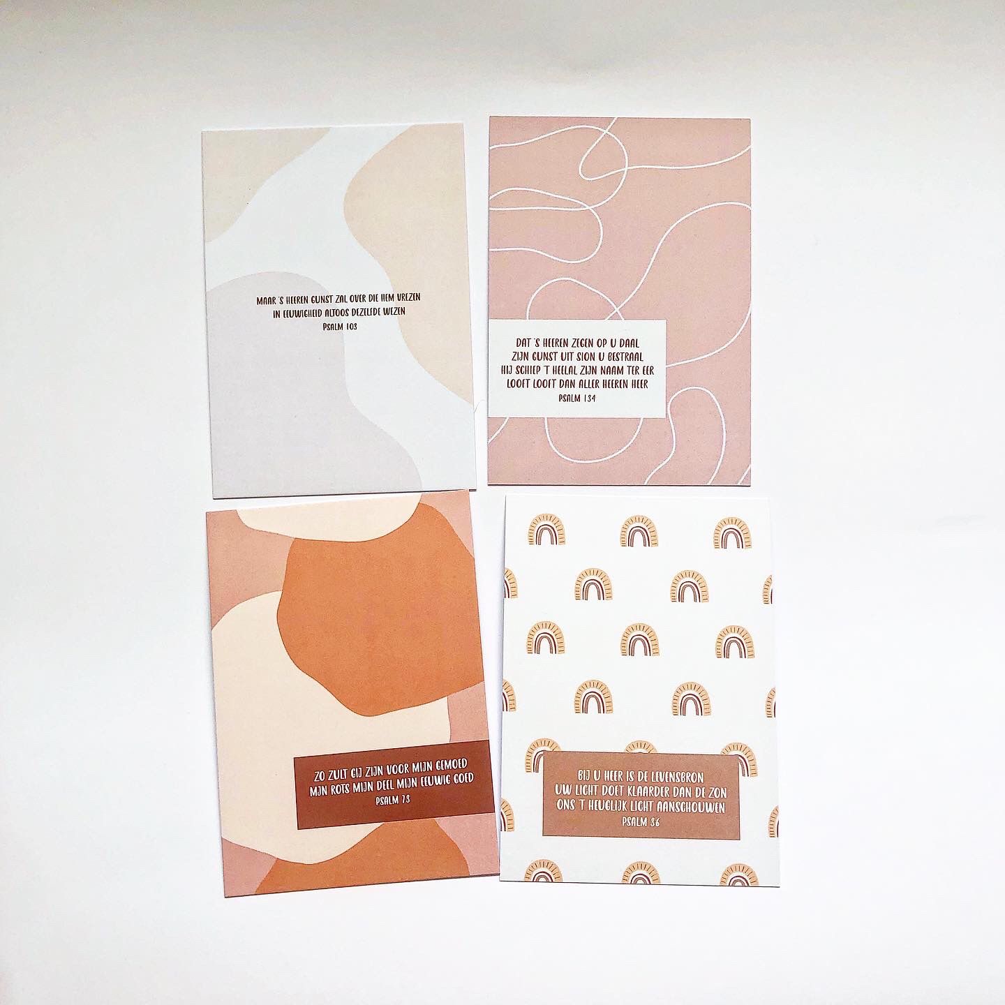 WhatsApp Image 2022-02-14 at 8.27.26 PM